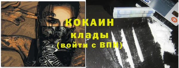 соль ск Алексин