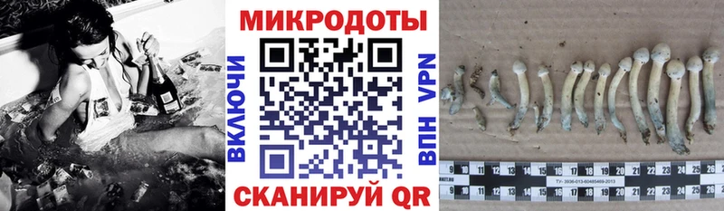 Галлюциногенные грибы Cubensis  Новочебоксарск 